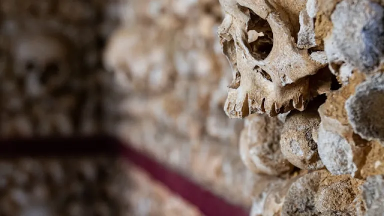 Capela dos Ossos